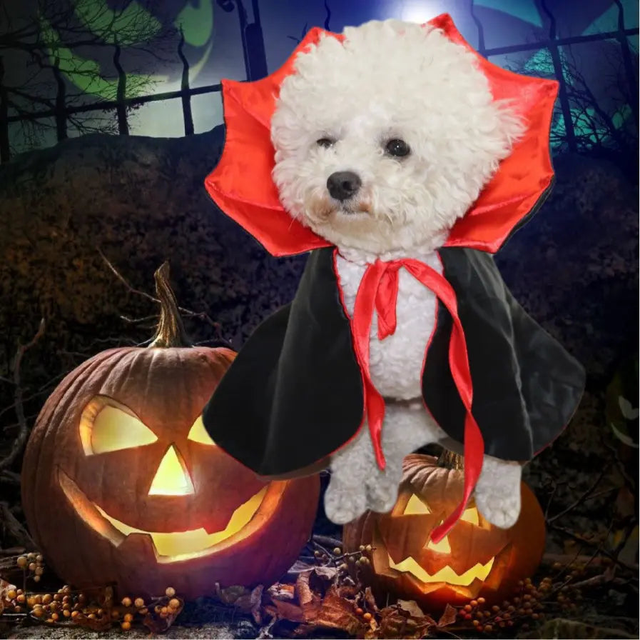 Halloween Pet Vampire Cape Costume, Reversible Spooky Dracula Cloak with Stand Collar for Cats & Dogs, Adjustable Party Cosplay Apparel