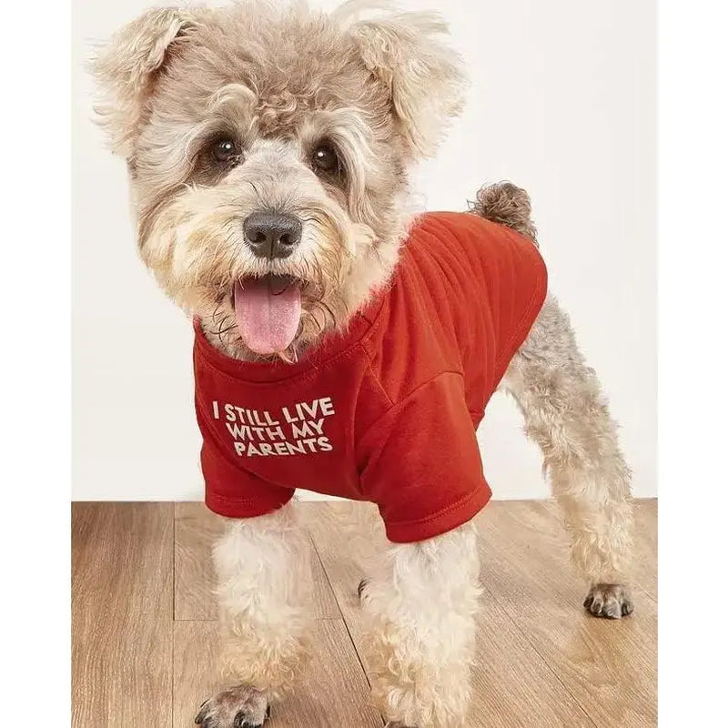 Cute Clothes, T Shirt for Medium Dogs. Clothes for Small Dogs Girl Boy,Puppy.Breathable Soft Costume Pet Dogs Cats,Pet Pullover Jumper, Clothes Xxl-(19~23Lb),Chest~21.5",Red,Parents
