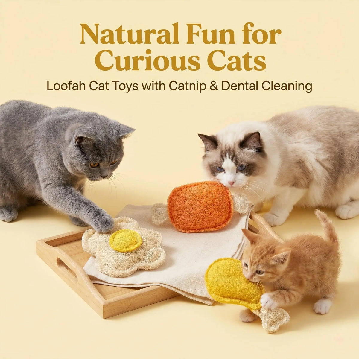 Natural Loofah Pet Chew Toy Set (3-Pack) - Food Shapes: Chicken Leg, Drumstick, Egg - Infused with Catnip & Silvervine, Antibacterial, Molar Teeth Cleaner, Anxiety Relief, Non-Toxic & Biodegradable for Cats, Kittens, and Dogs