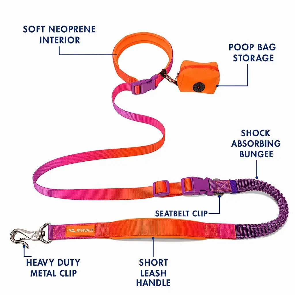 RYNVALE 6-Foot Hands-Free Dog Leash for Large Breeds with Waist Attachment, Car Seatbelt Clip, Poop Bag Holder, and Shock-Absorbing Dual Padded Handles, Supports Up to 220 lbs
