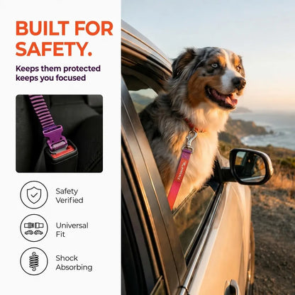RYNVALE 6-Foot Hands-Free Dog Leash for Large Breeds with Waist Attachment, Car Seatbelt Clip, Poop Bag Holder, and Shock-Absorbing Dual Padded Handles, Supports Up to 220 lbs