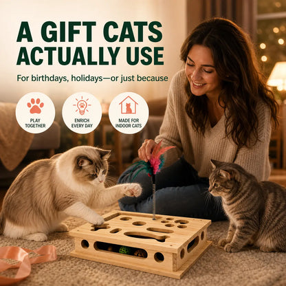 4-In-1 Birch Plywood Interactive Puzzle Toy - Feather Teaser, Hidden Balls, Claw-Filing Pad, Indoor Enrichment Activity Box for Bored Pets, Multi-Pet Play