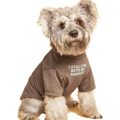 Cute Clothes, T Shirt for Medium Dogs. Clothes for Small Dogs Girl Boy,Puppy.Breathable Soft Costume Pet Dogs Cats,Pet Pullover Jumper, Clothes Xxl-(19~23Lb),Chest~21.5",Red,Parents