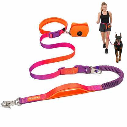 RYNVALE 6-Foot Hands-Free Dog Leash for Large Breeds with Waist Attachment, Car Seatbelt Clip, Poop Bag Holder, and Shock-Absorbing Dual Padded Handles, Supports Up to 220 lbs
