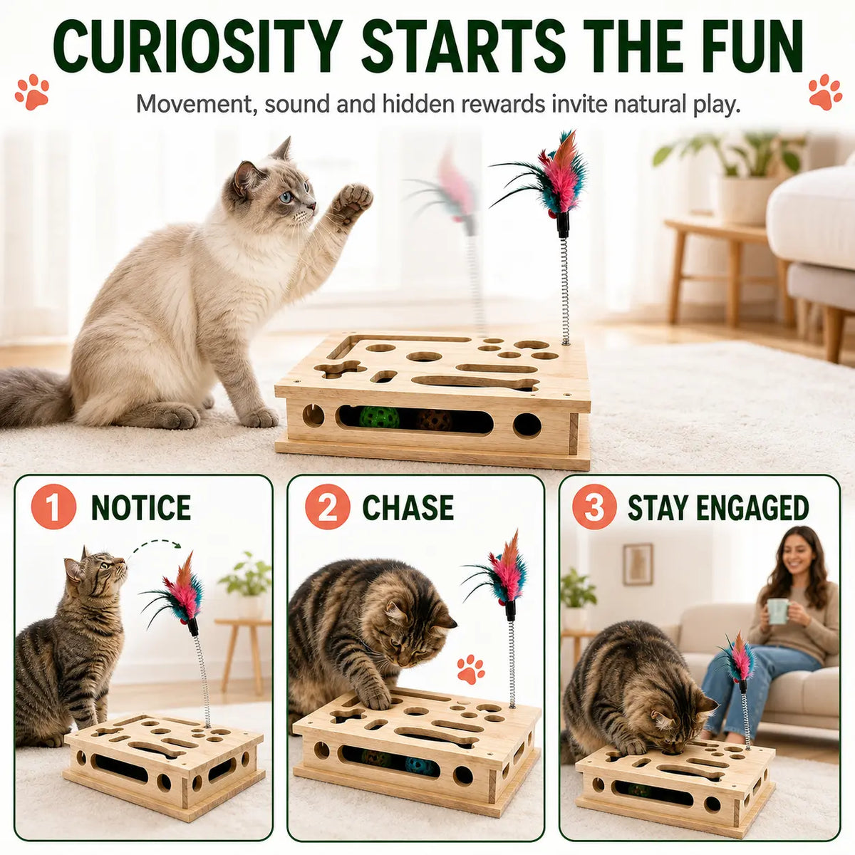 4-In-1 Birch Plywood Interactive Puzzle Toy - Feather Teaser, Hidden Balls, Claw-Filing Pad, Indoor Enrichment Activity Box for Bored Pets, Multi-Pet Play