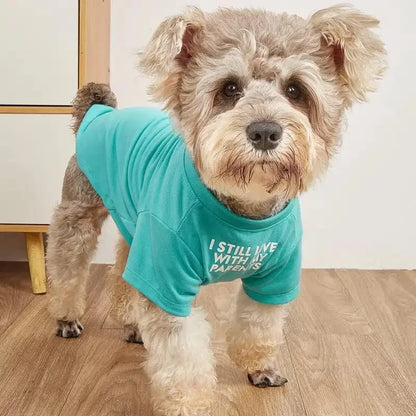Cute Clothes, T Shirt for Medium Dogs. Clothes for Small Dogs Girl Boy,Puppy.Breathable Soft Costume Pet Dogs Cats,Pet Pullover Jumper, Clothes Xxl-(19~23Lb),Chest~21.5",Red,Parents