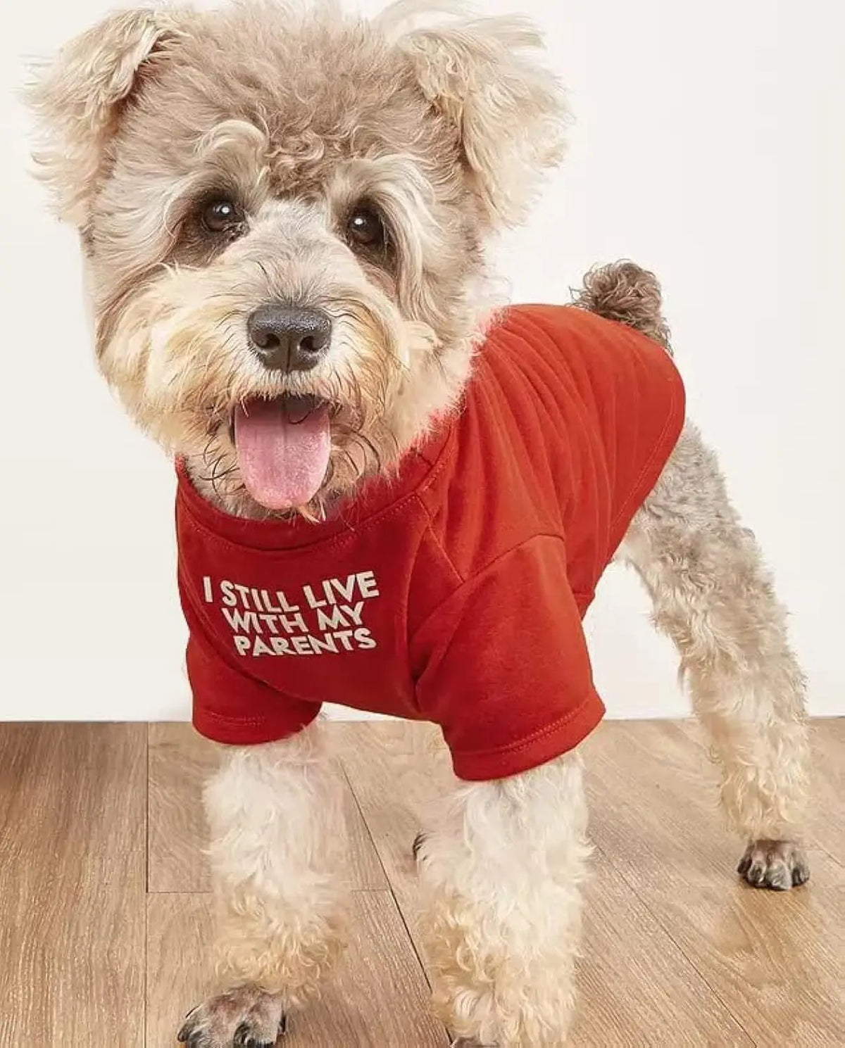 Cute Clothes, T Shirt for Medium Dogs. Clothes for Small Dogs Girl Boy,Puppy.Breathable Soft Costume Pet Dogs Cats,Pet Pullover Jumper, Clothes Xxl-(19~23Lb),Chest~21.5",Red,Parents