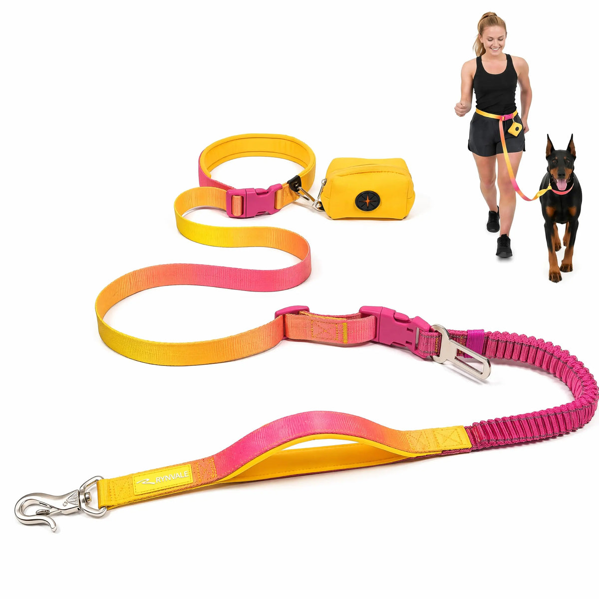 RYNVALE 6-Foot Hands-Free Dog Leash for Large Breeds with Waist Attachment, Car Seatbelt Clip, Poop Bag Holder, and Shock-Absorbing Dual Padded Handles, Supports Up to 220 lbs